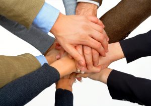 frmMeetOurTeam